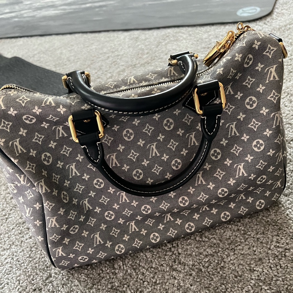 Louis Vuitton Encre Idylle Monogram Speedy